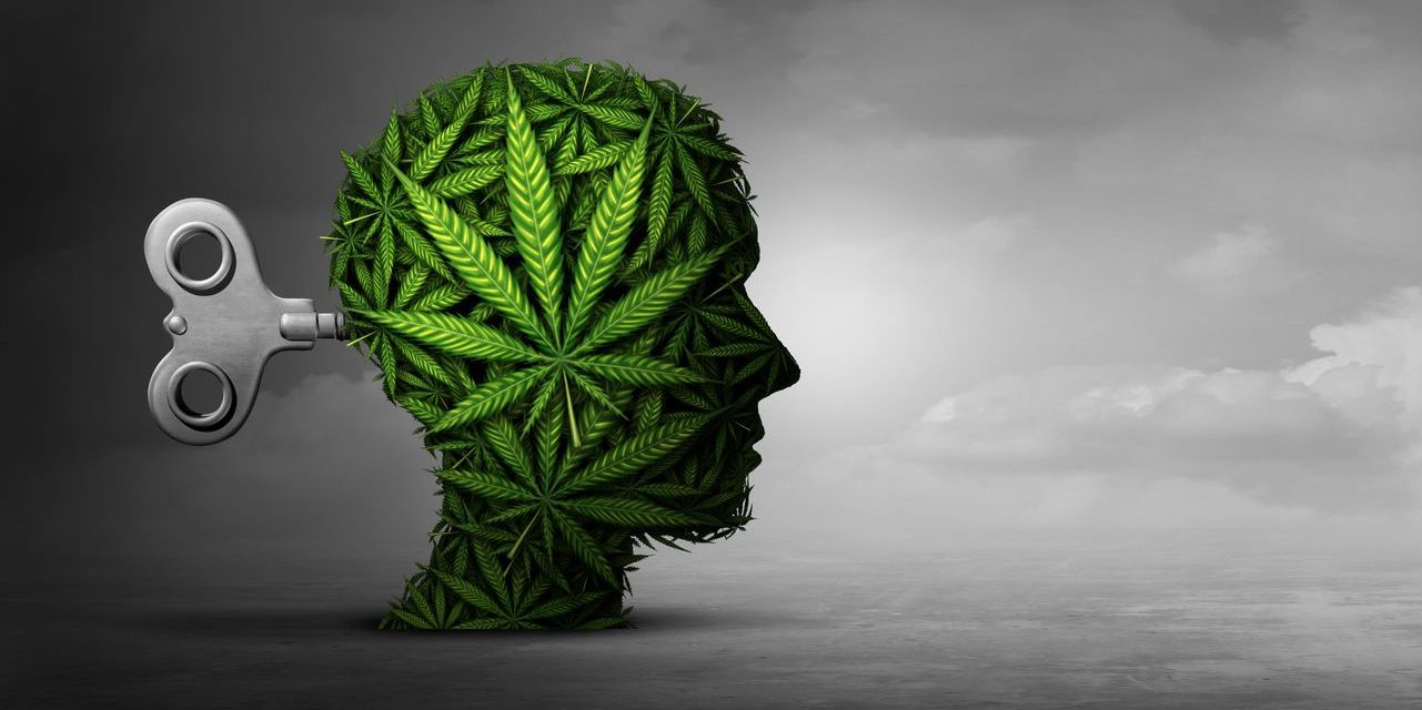 graphic of brain on marijuana with key to represent psychosis