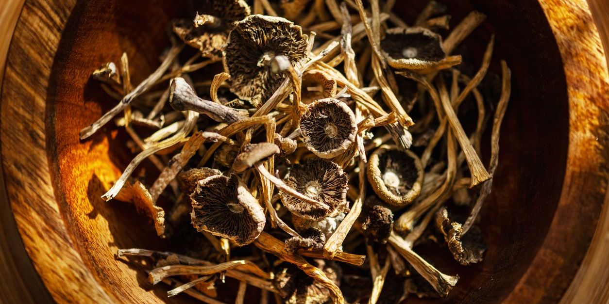 bowl of psilocybin mushrooms